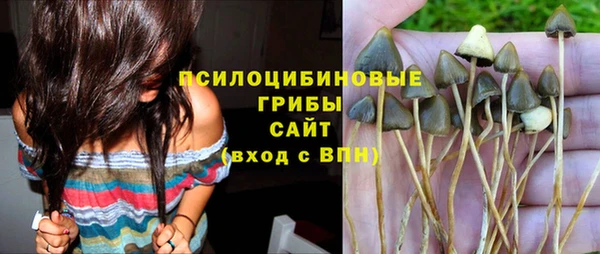дмт Абдулино